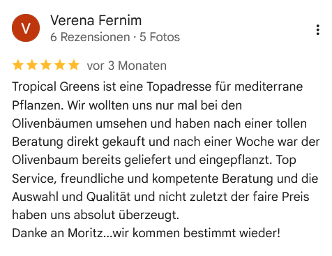 Google Bewertung 1