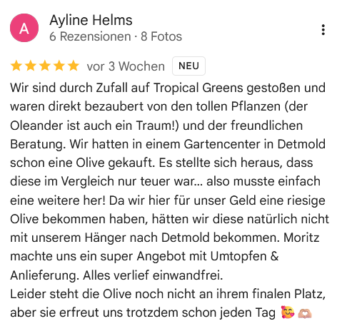 Google Bewertung 3