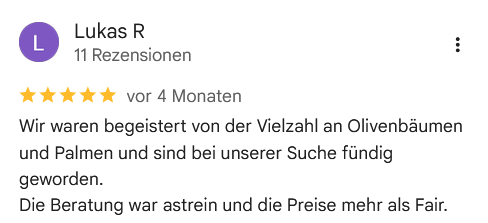 Google Bewertung 4